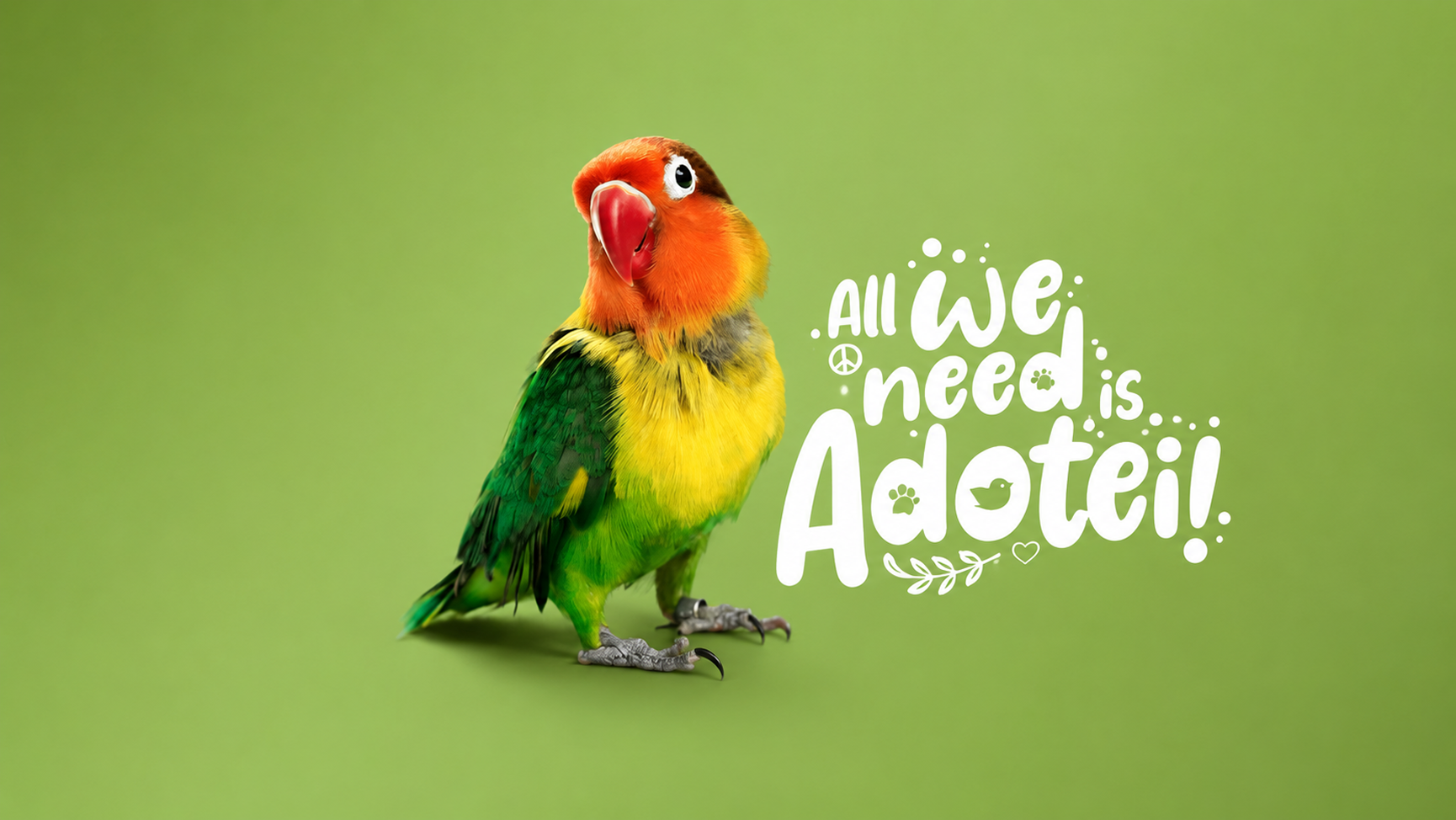 Pássaro colorido — All we need is Adotei!
